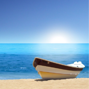 一级毛片全部免费播放中文国语
